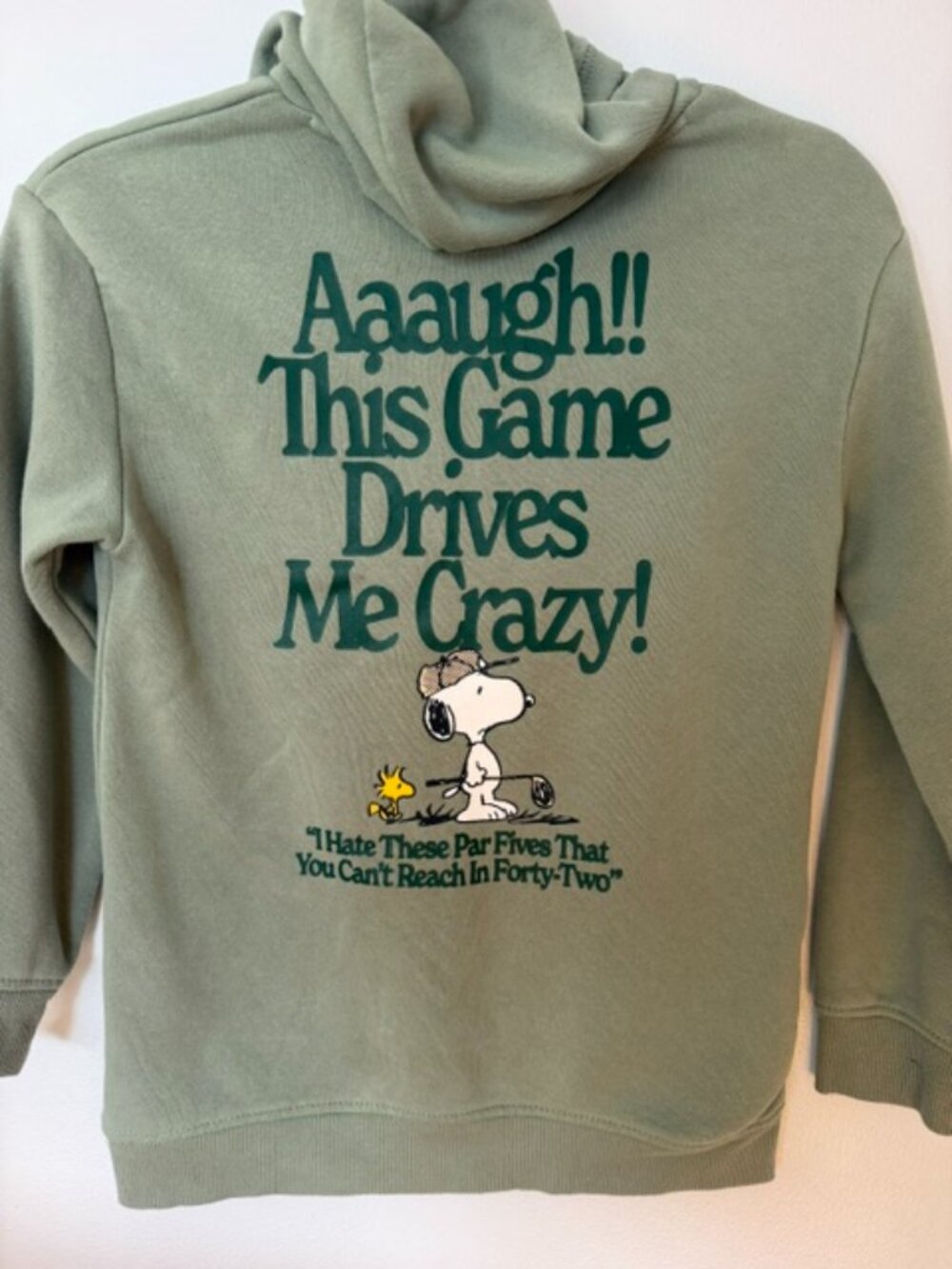 Snoopy Peanuts Hybrid Boys Size medium Sweatshirt Hoodie Pullover Nostalgic